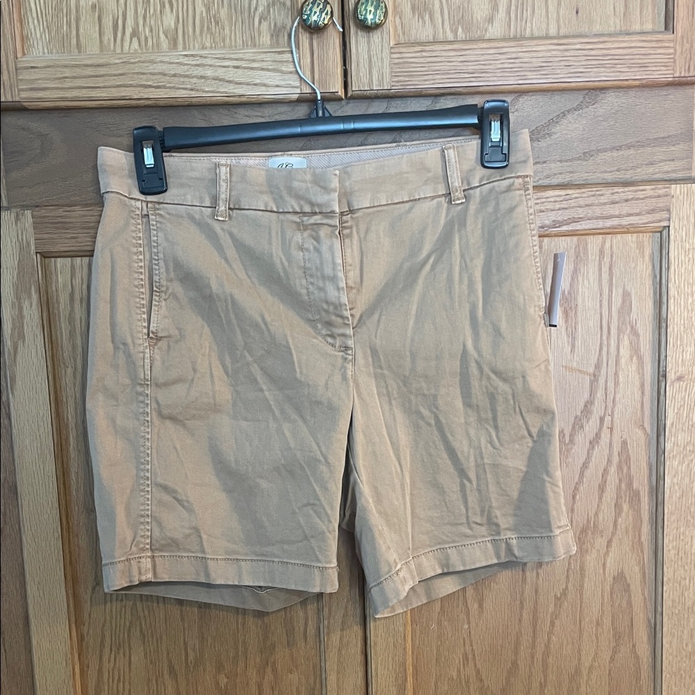 J Crew Women's Shorts